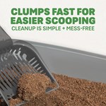 Graphic Walnut litter clumps fast for easier scooping.
